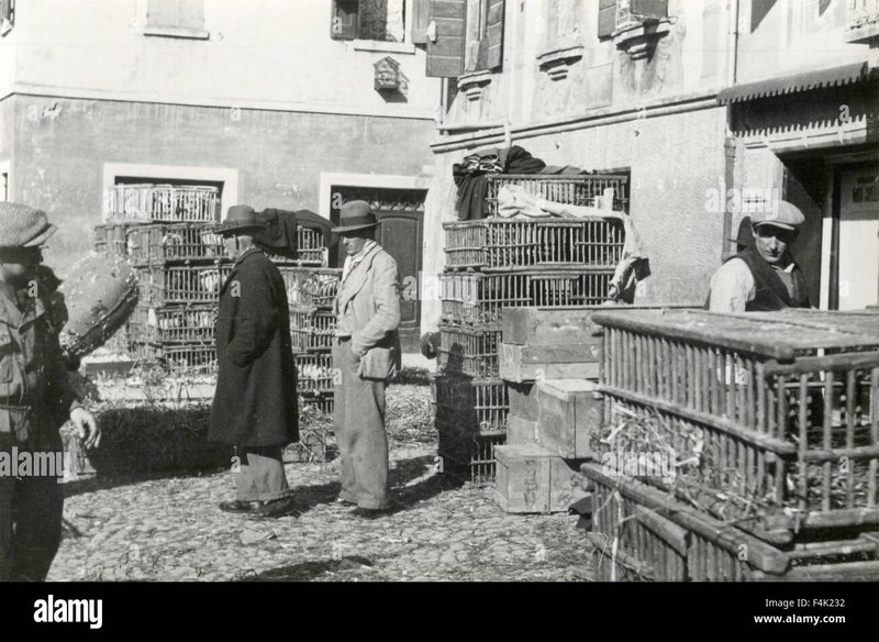 Migliore chicken road online a Italy